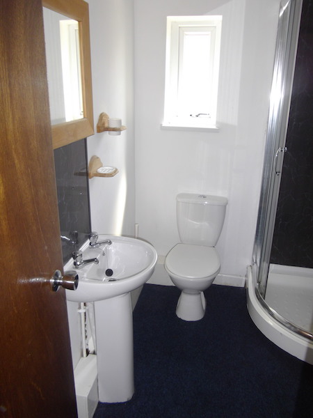 17 Hawthorne Avenue Swansea - image 4
