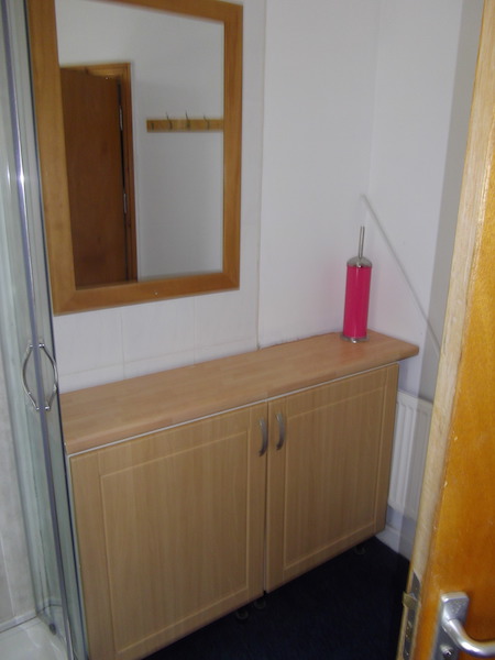 14 Pantygwyder Rd Swansea - image 4